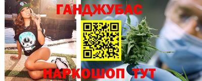 шишки Кимры