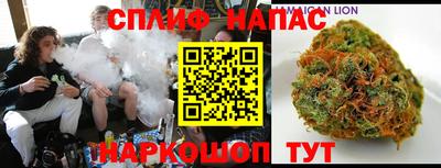 дмт Кинель