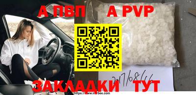 шишки Кимры