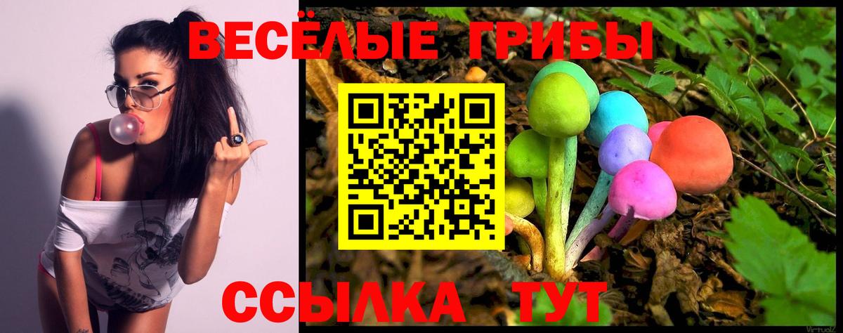 Псилоцибиновые грибы Cubensis  Галлюциногенные грибы ЛСД  Котовск  Вход с VPN 